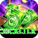 shahrukh khan cricketer Elite Pro v4.8.1