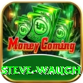 steve waugh Turbo v2.6.4