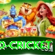 t20 cricket Apps (Tools & Injectors) Max v1.4.9