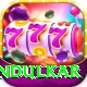 tendulkar VIP Pro v5.2.6