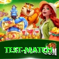 test match Max v2.9.7