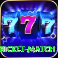 to day cricket match Deluxe v3.3.2