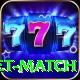 to day cricket match Deluxe v3.3.2