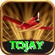 tojay Gold Edition vv5.2.1