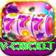 v cricket Ultimate v2.2.2