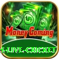 watch live cricket Pro1 v4.3.2