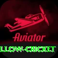 willow cricket Ultimate Pro v2.4.9