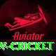 willow cricket Ultimate Pro v2.4.9