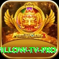willow tv Slot Machine VIP